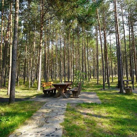Forest Cottage Неринга Экстерьер фото