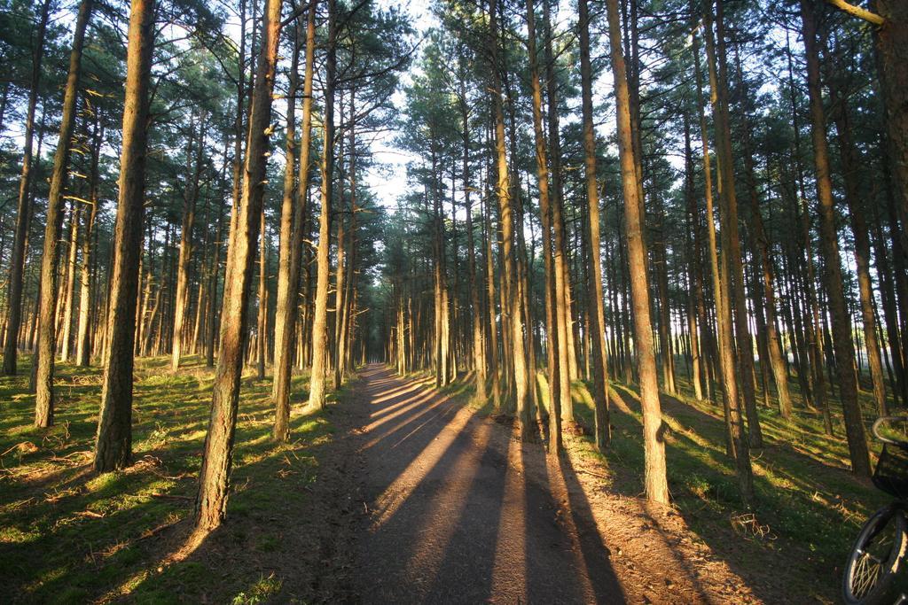 Forest Cottage Неринга Номер фото